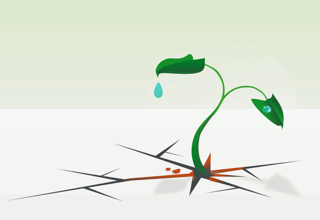 Different approaches to emotional resilience Different approaches to emotional resilience