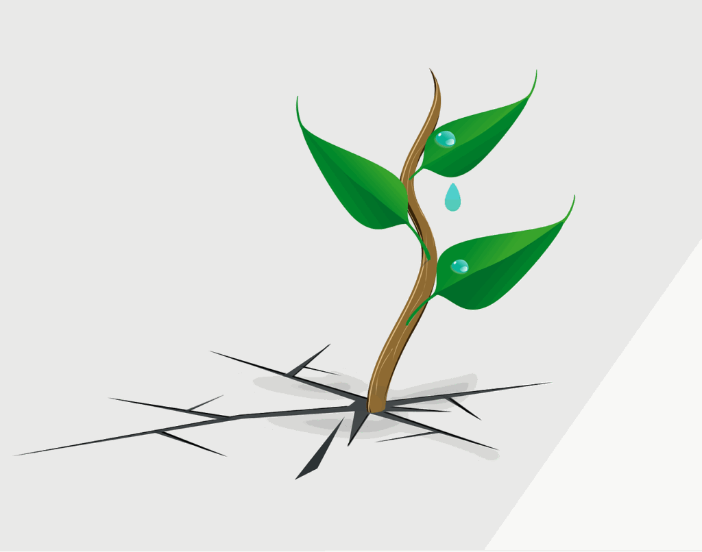 Different approaches to emotional resilience Different approaches to emotional resilience